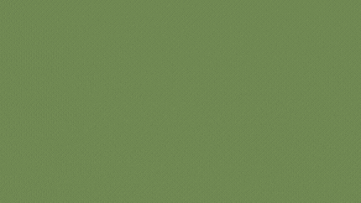 5-Day Surfing Beginner Guide